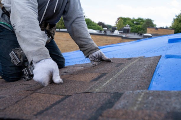 Best Metal Roofing Contractor  in Montgomery, WV