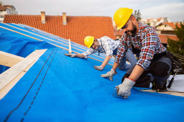 Best Storm Damage Roof Repair  in Montgomery, WV