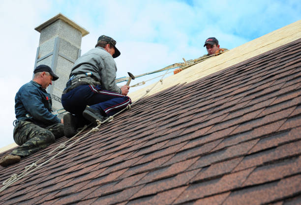 Best Roofing Contractor Near Me  in Montgomery, WV